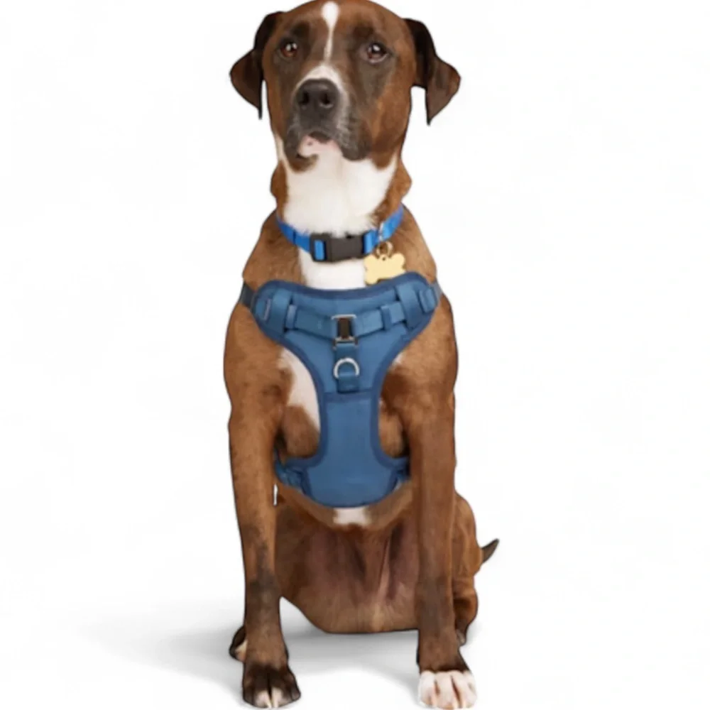 NWT YOULY padded dog harness M